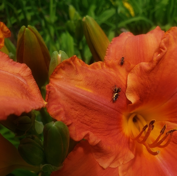 Meet your Posher - Picture 8 of 8